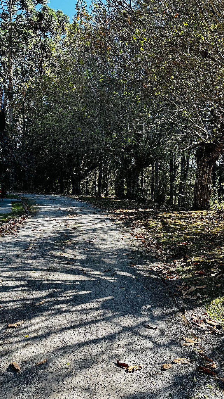 Chalé do Bosque em Campos do Jordão